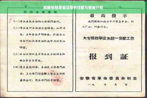 船舶检验质量证明书详解与模板介绍