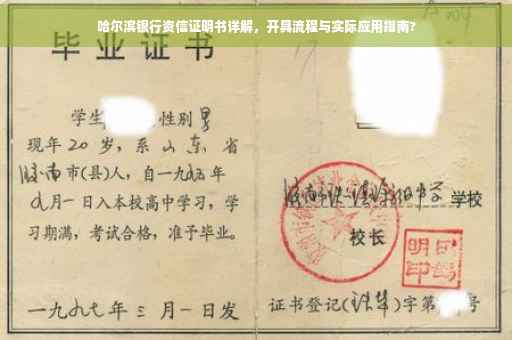 哈尔滨银行资信证明书详解，开具流程与实际应用指南?