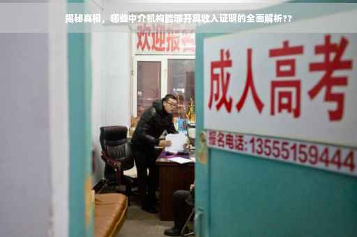 揭秘真相，哪些中介机构能够开具收入证明的全面解析??