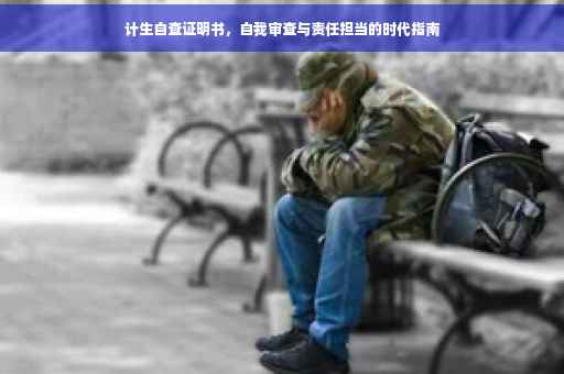 计生自查证明书，自我审查与责任担当的时代指南