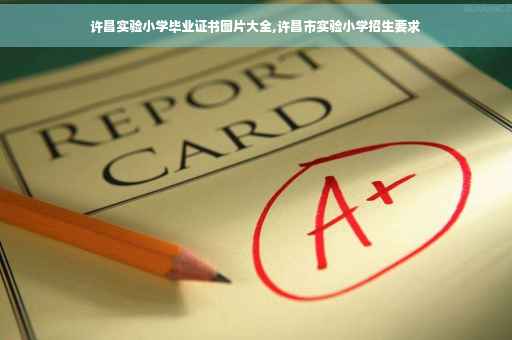 许昌实验小学毕业证书图片大全,许昌市实验小学招生要求