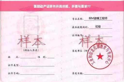 医院动产证明书开具详解，步骤与要求??