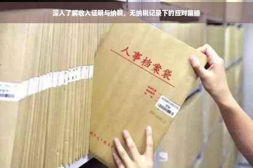 深入了解收入证明与纳税，无纳税记录下的应对策略