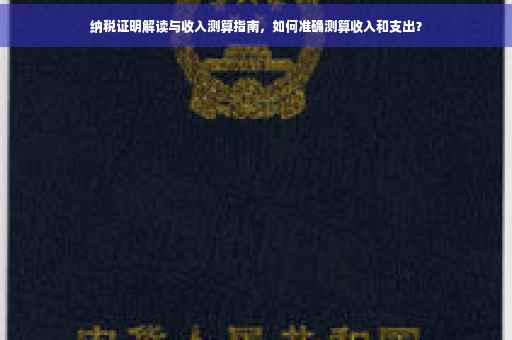 纳税证明解读与收入测算指南，如何准确测算收入和支出？