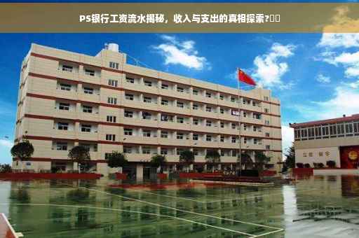 PS银行工资流水揭秘，收入与支出的真相探索?⚡️