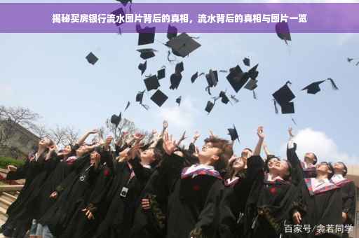 揭秘买房银行流水图片背后的真相，流水背后的真相与图片一览