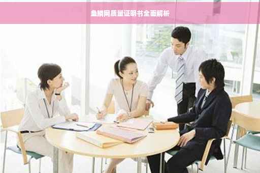 鱼鳞网质量证明书全面解析