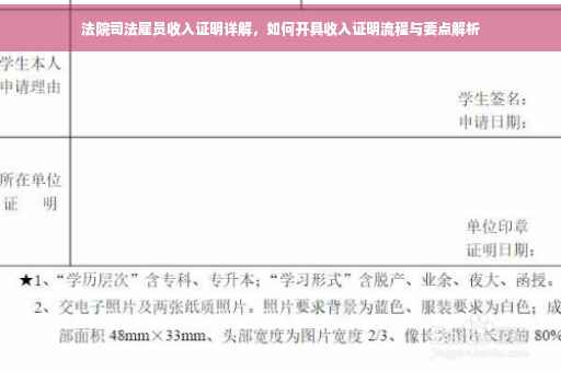 法院司法雇员收入证明详解，如何开具收入证明流程与要点解析