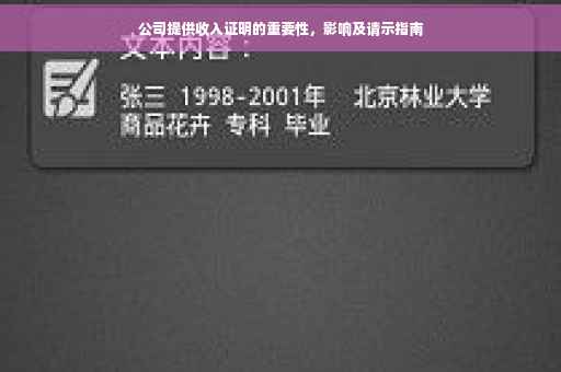公司提供收入证明的重要性，影响及请示指南