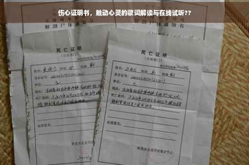 伤心证明书，触动心灵的歌词解读与在线试听??