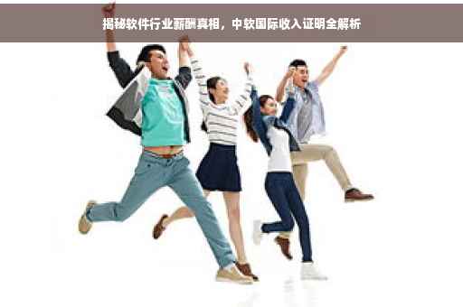 揭秘软件行业薪酬真相，中软国际收入证明全解析