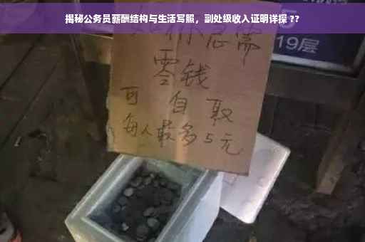 揭秘公务员薪酬结构与生活写照，副处级收入证明详探 ??