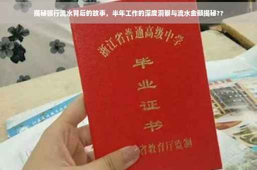 揭秘银行流水背后的故事，半年工作的深度洞察与流水金额揭秘??