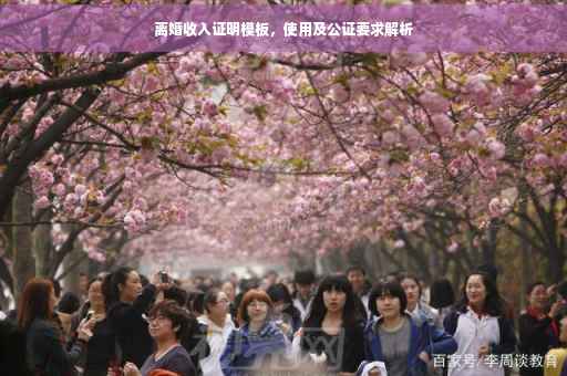 离婚收入证明模板，使用及公证要求解析