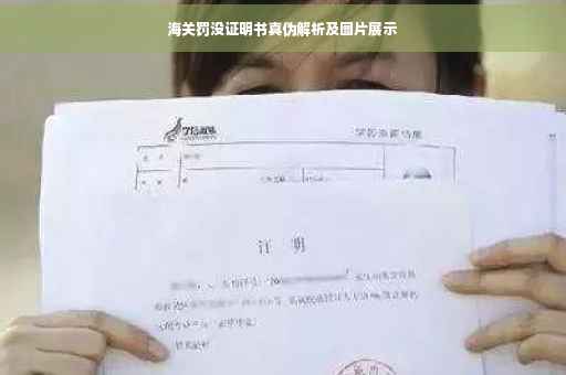 海关罚没证明书真伪解析及图片展示