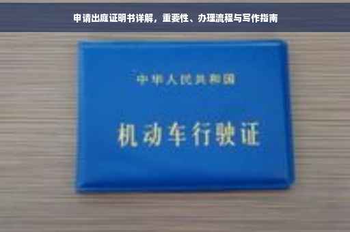 申请出庭证明书详解，重要性、办理流程与写作指南