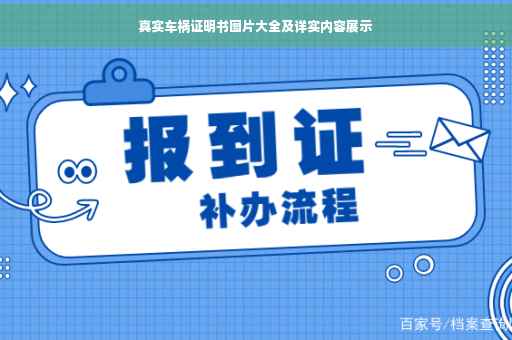 真实车祸证明书图片大全及详实内容展示