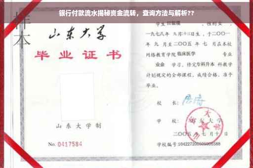 银行付款流水揭秘资金流转，查询方法与解析??