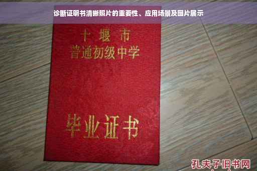 诊断证明书清晰照片的重要性、应用场景及图片展示