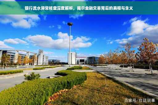 银行流水异常核查深度解析，揭示金融交易背后的真相与含义