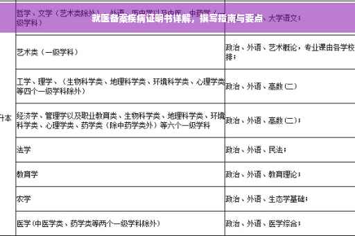 就医备案疾病证明书详解，撰写指南与要点