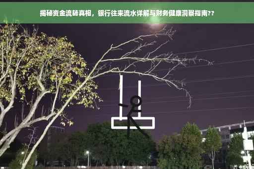 揭秘资金流转真相，银行往来流水详解与财务健康洞察指南??