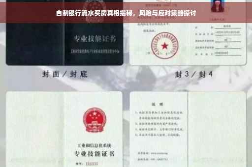 自制银行流水买房真相揭秘，风险与应对策略探讨