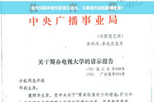 全方位解析收付款银行流水，从查询方法到精通使用?