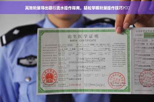 高效批量导出银行流水操作指南，轻松掌握批量操作技巧?⚡️