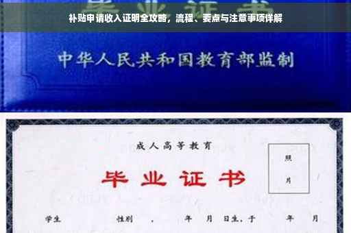 补贴申请收入证明全攻略，流程、要点与注意事项详解