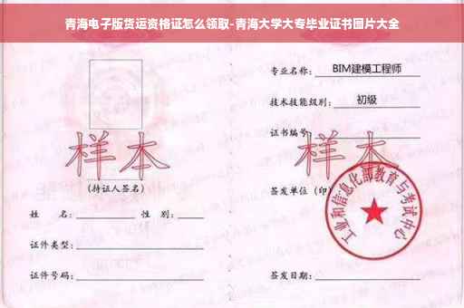 青海电子版货运资格证怎么领取-青海大学大专毕业证书图片大全