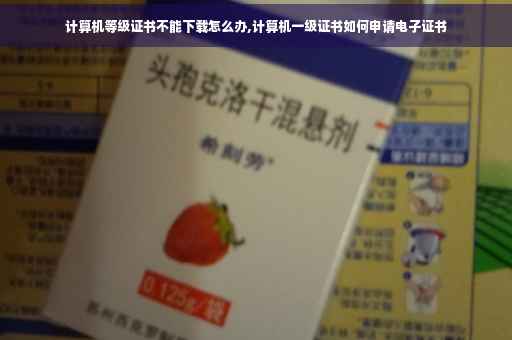 计算机等级证书不能下载怎么办,计算机一级证书如何申请电子证书