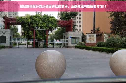 揭秘缴税银行流水截图背后的故事，正确处理与理解的方法??