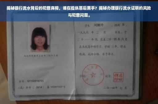 揭秘银行流水背后的犯罪真相，谁在操纵幕后黑手？揭秘办理银行流水证明的风险与犯罪问题。