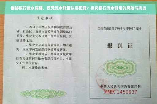 揭秘银行流水真相，仅凭流水能否认定犯罪？探究银行流水背后的风险与挑战