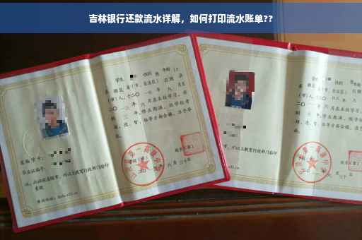 吉林银行还款流水详解，如何打印流水账单??