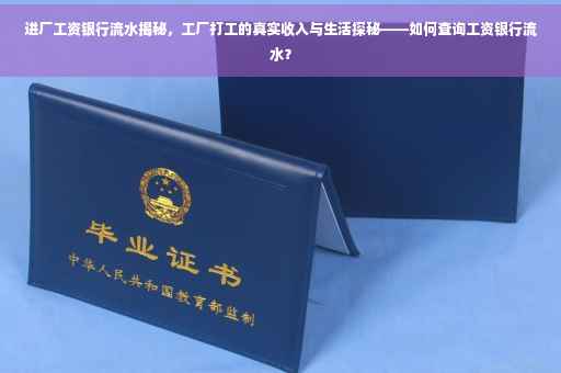 进厂工资银行流水揭秘，工厂打工的真实收入与生活探秘——如何查询工资银行流水？