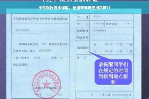 手机银行流水详解，便捷查询与使用指南??