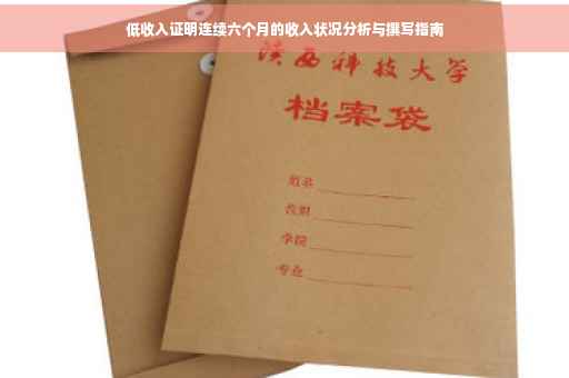 低收入证明连续六个月的收入状况分析与撰写指南