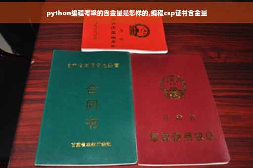 python编程考级的含金量是怎样的,编程csp证书含金量