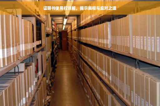 证明书使用权详解，揭示真相与应对之道