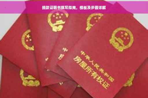 捐款证明书撰写指南，模板及步骤详解