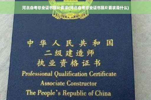 河北自考毕业证书图片要求(河北自考毕业证书图片要求是什么)