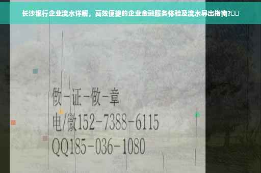 长沙银行企业流水详解，高效便捷的企业金融服务体验及流水导出指南?⚡️