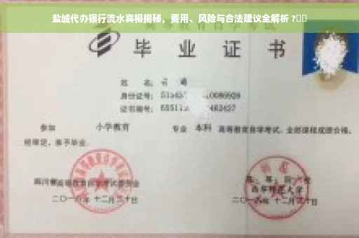 盐城代办银行流水真相揭秘，费用、风险与合法建议全解析 ?⚡️