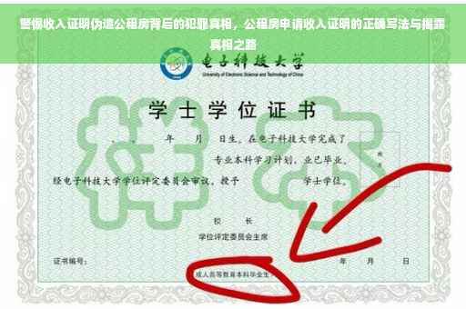 警惕收入证明伪造公租房背后的犯罪真相，公租房申请收入证明的正确写法与揭露真相之路