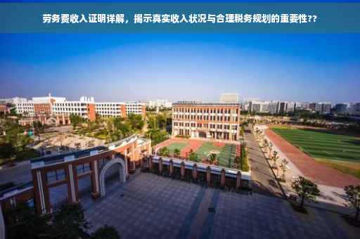 劳务费收入证明详解，揭示真实收入状况与合理税务规划的重要性??