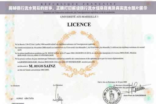 揭秘银行流水背后的故事，正确打印解读银行流水信息指南及真实流水图片展示