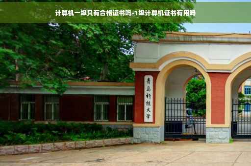 计算机一级只有合格证书吗-1级计算机证书有用吗 计算机一级只有合格证书吗-1级计算机证书有用吗
