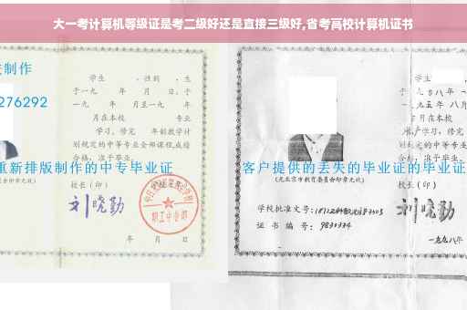 大一考计算机等级证是考二级好还是直接三级好,省考高校计算机证书